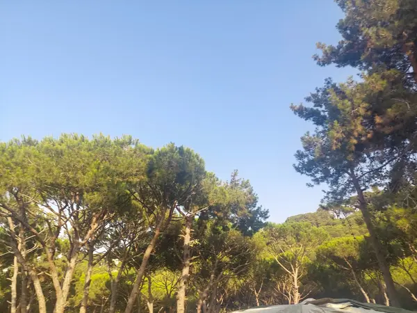 Land in Beit Chabeb, Metn with Mountain View