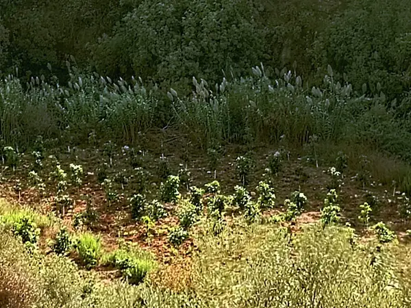 Land in Kfarshima, Baabda Overlooking the Mountains