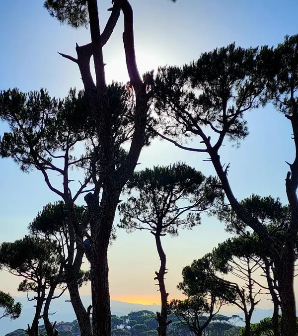 Land in Bifaya (Aayroun), Metn overlooking the Mountains & the Ocean