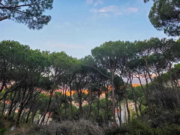 Good Location Land in Beit Chabeb, Metn with Breathtaking Views