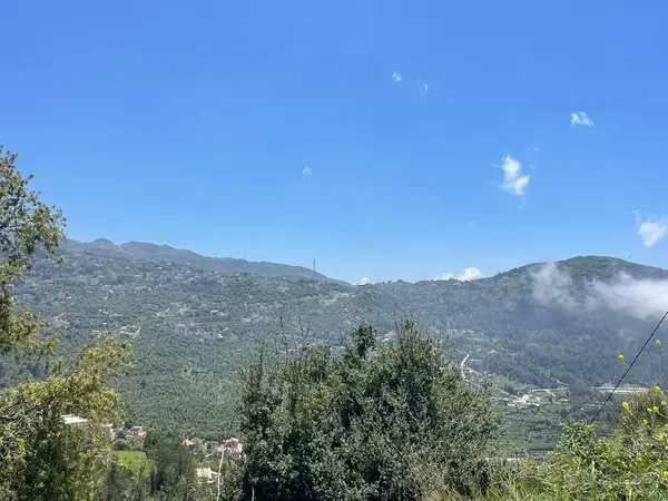Land for Sale in Ghbeleh with an Amazing View