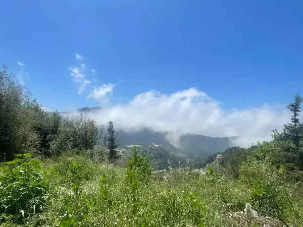Land for Sale in Ghbeleh with an Amazing Mountain View