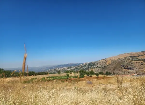 Land in Tarchich, Metn with Breathtaking Mountain and Sea View