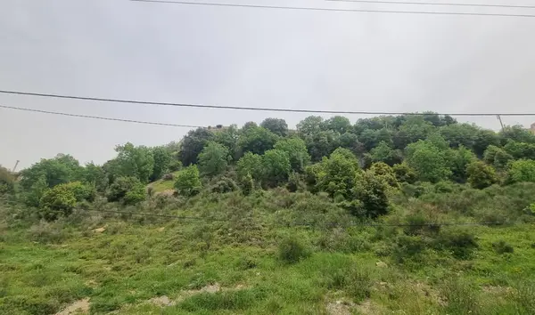 Land for Sale in Zeghrine