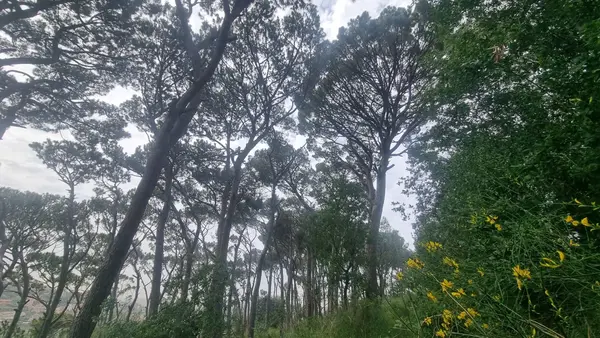 Land for Sale in Beit Chabab