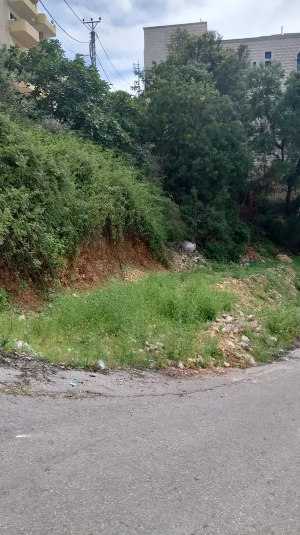 Land for Sale In Amchit