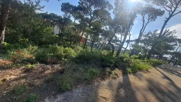 Land for Sale in Aayroun