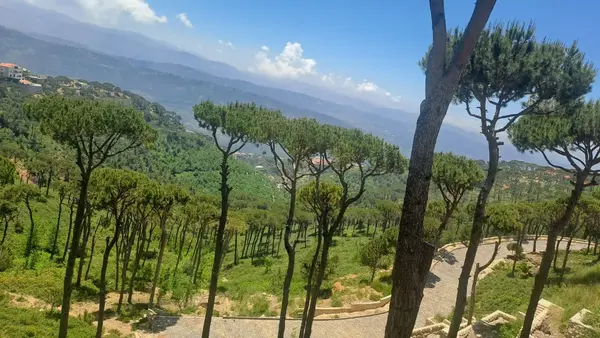 Land for Sale in Dhour Choueir