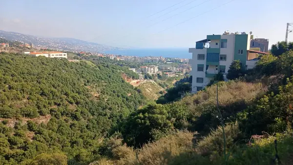 Land for Sale In Amchit