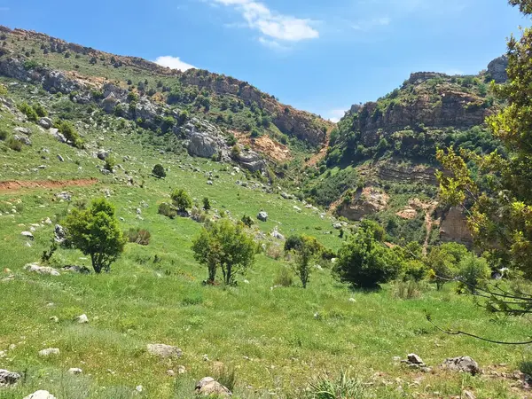 Land for Sale in Qartaba