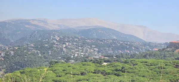 Land for Sale in Beit Chabab
