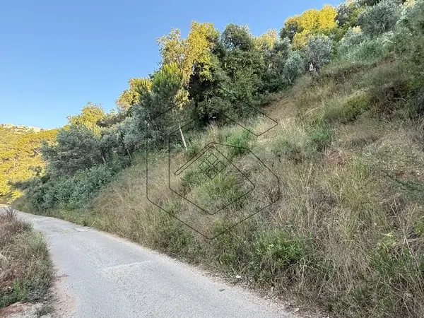 Land for Sale in Dmit - Chouf