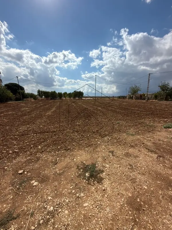 Land for Sale in Rayak-Zahle