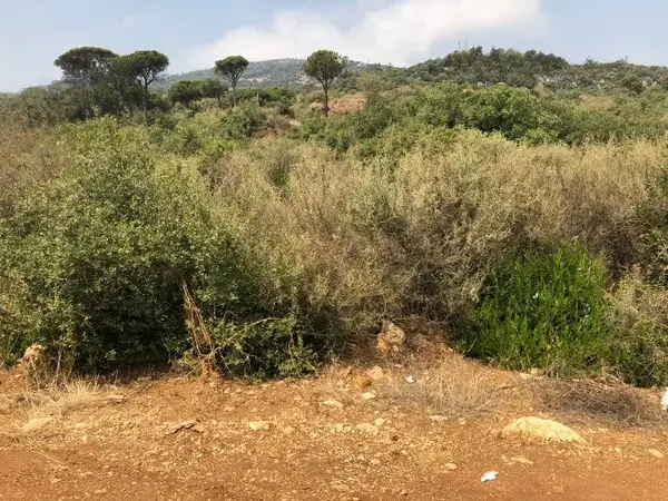 Land for Sale in Beit Mery