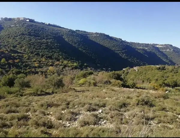 Land for Sale in Ain Kfaa Jbeil