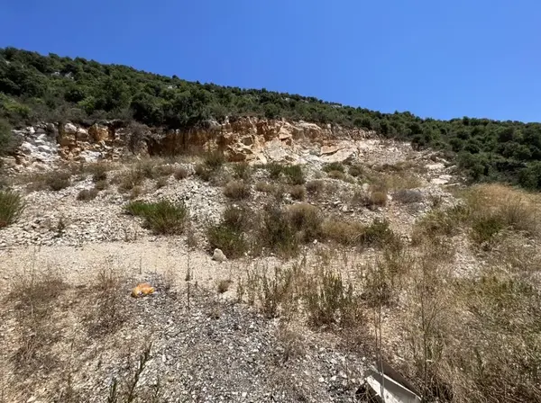 Land for Sale in Batroun Chabtine