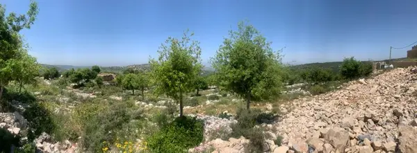 Land for Sale in Asia Batroun