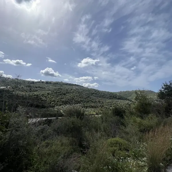 Land for Sale in Batroun Kfarhay