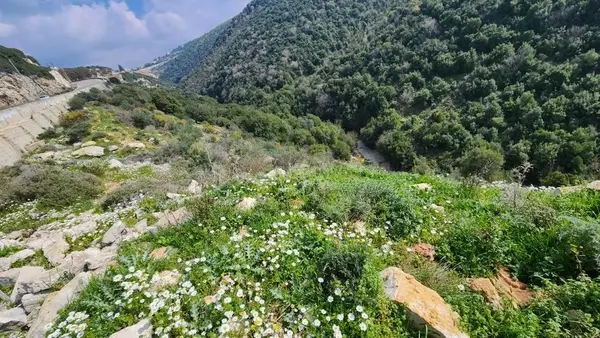 Land for Sale in Batroun Kfarhay.