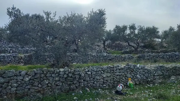 Land for Sale in Batroun Chabtine