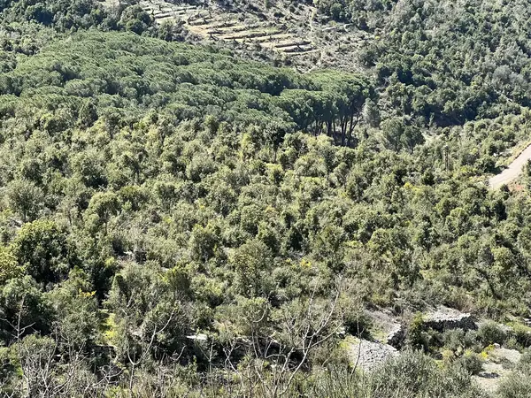 Land for Sale in Assia Batroun