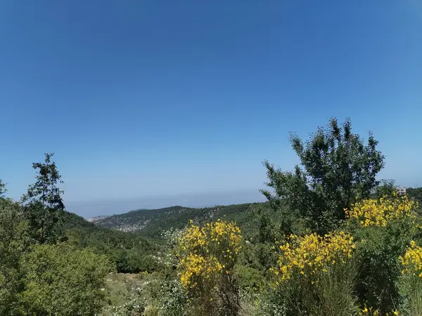 Land for Sale in Mechmech Jbeil