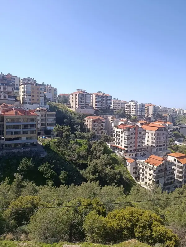 For Sale: Apartment in Roumieh