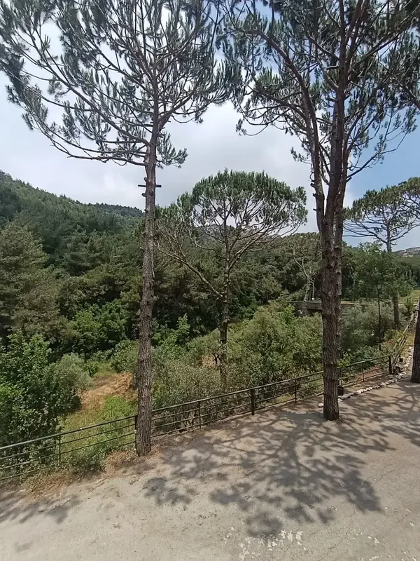 For Sale: Apartment in Mar Chaaya