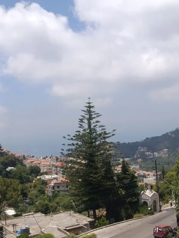 For Sale: Apartment in Mar Chaaya