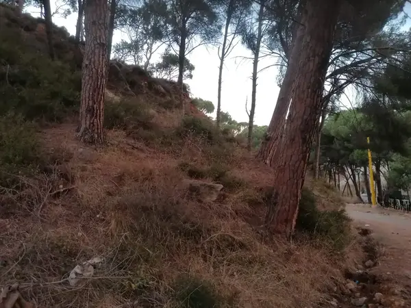 A rare opportunity! Land for Sale in Konaytra