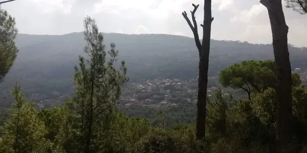 3135 SQM Land For Sale With Open Panoramic View In A Calm Area In Baabdat