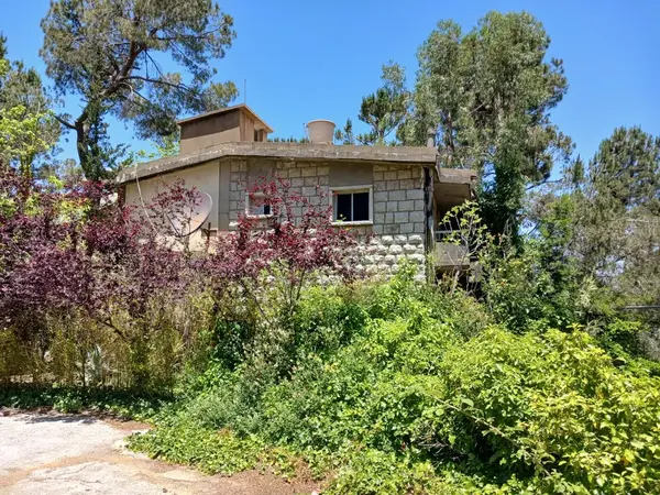 Old House With Land For Sale In Naas