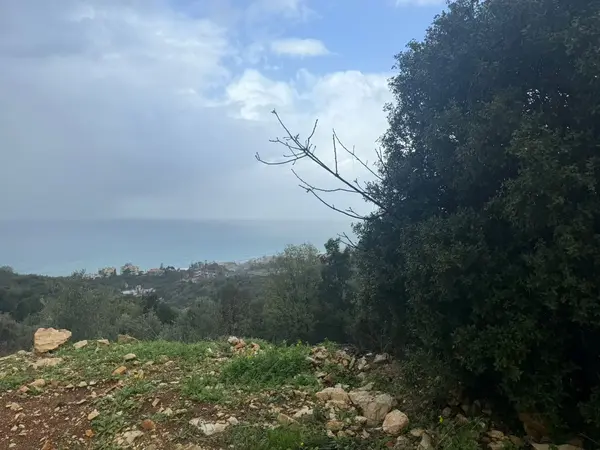 A 1600 SQM Land With Sea View For Sale in Thoum, Batroun