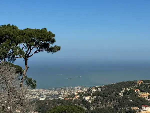A 1,800 SQM Land For Sale in Broumana