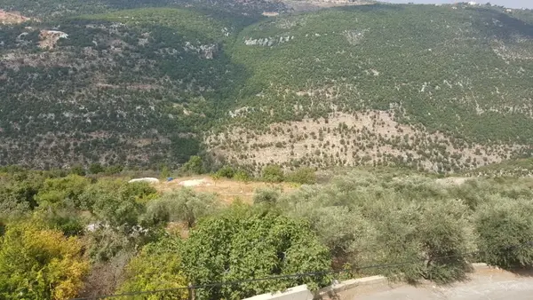 2,335 SQM Land with Mountain View For Sale in Kharbe, Jbeil District