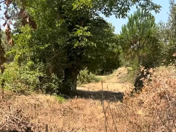 4,550 SQM Land For Sale in Aghmeed, Aley