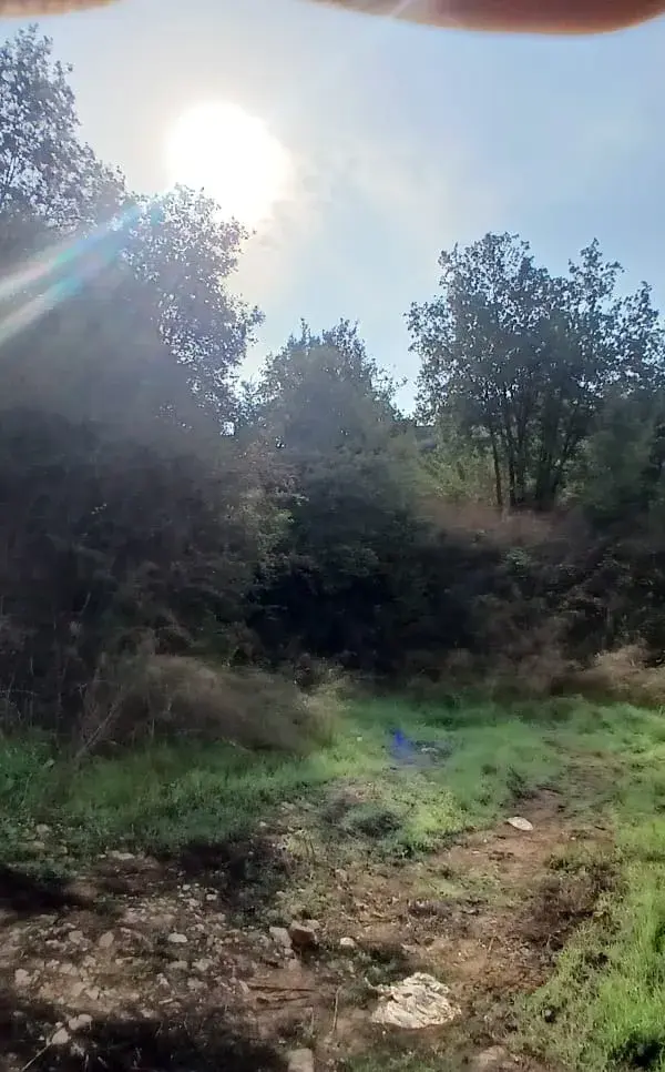 1,282 SQM Land With Panoramic View For Sale in Bikfaya
