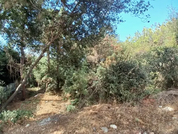 Land for Sale in Rabweh, Metn