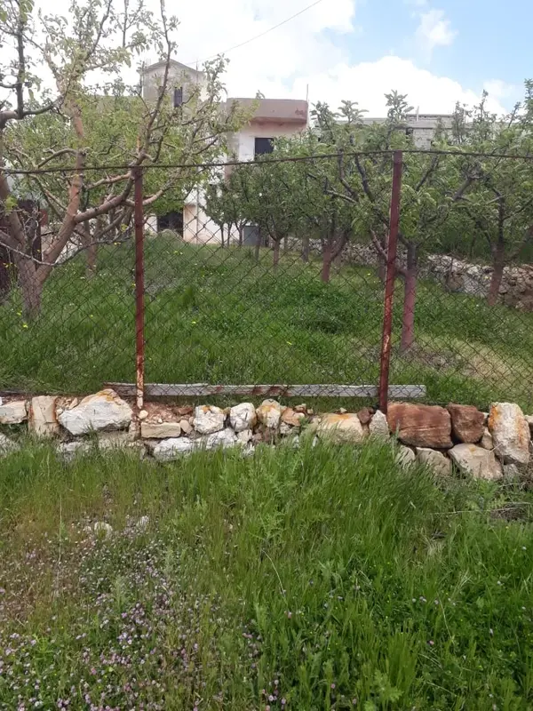 Land for Sale in Tarchich