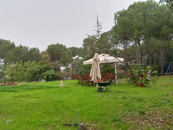 Land for Sale in Bikfaya Naas