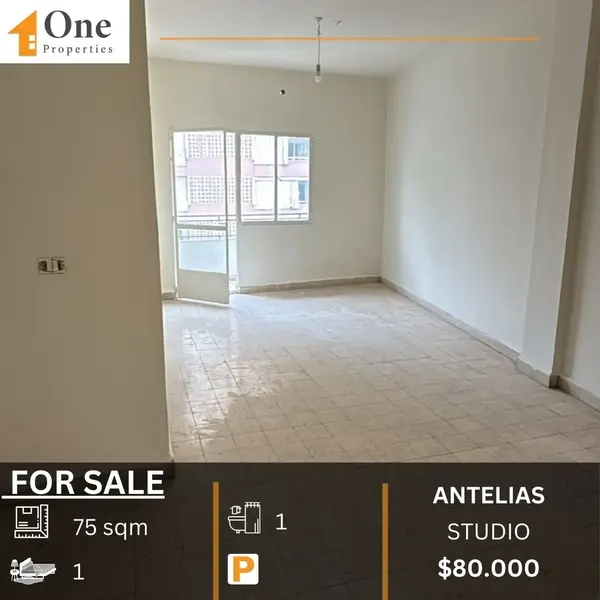 Studio For Sale In Antelias