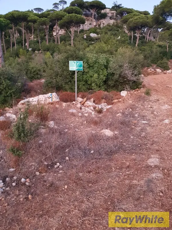 Multiple Lands For Sale In Ras Al Maten
