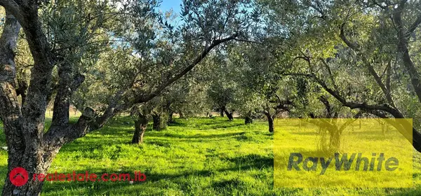 Land For Sale In Lehfed – Jbeil