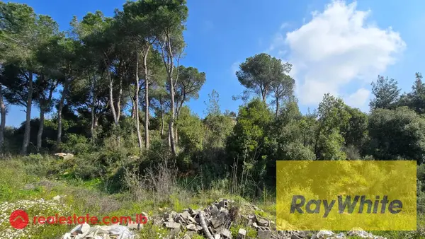 For Sale 3000m² Land In Prime Ain Aar 25/50