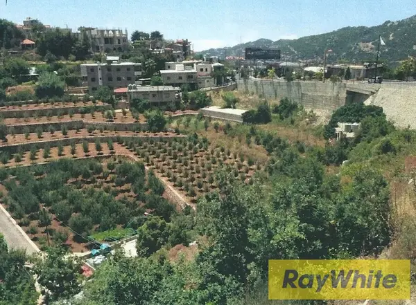 Land For Sale In Faitroun