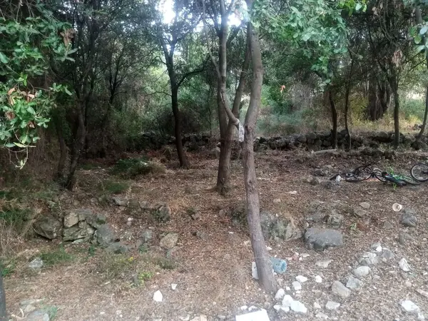 Two Lands For Sale In Amchit With Sea View