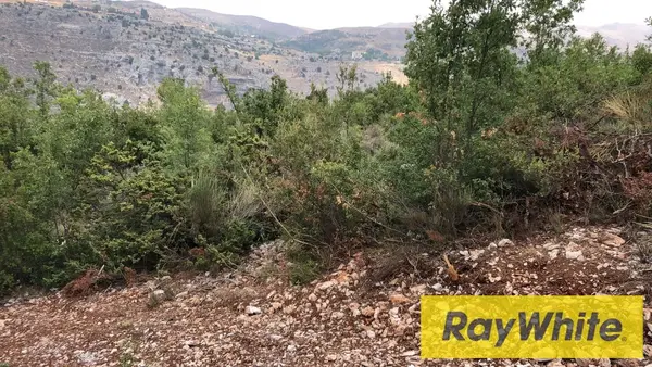Land For Sale In Tarchich – 700 Sqm | Subdivision Project – Road Access
