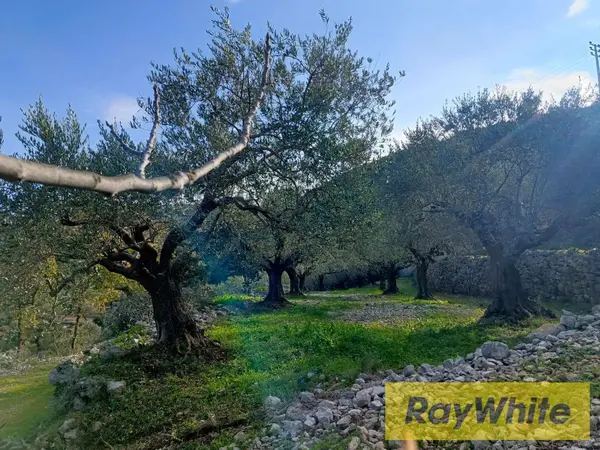 Land For Sale In Assia Batroun
