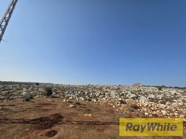 Land For Sale In Nakhleh Koura