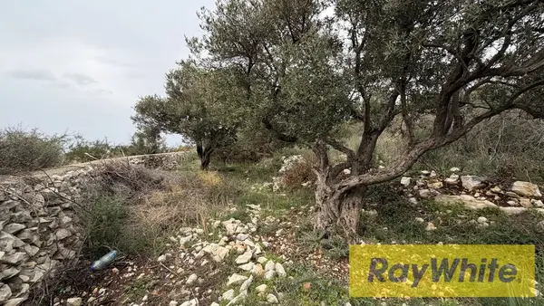 Land For Sale In Monsef Jbeil